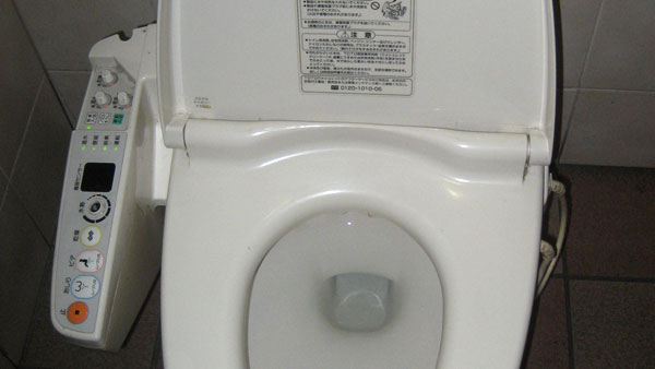 Standard Japanese Toilet