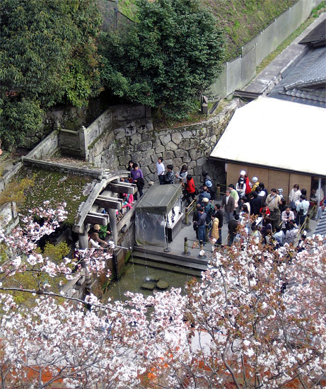 Cherry blossom and Japanese buddhist shrine