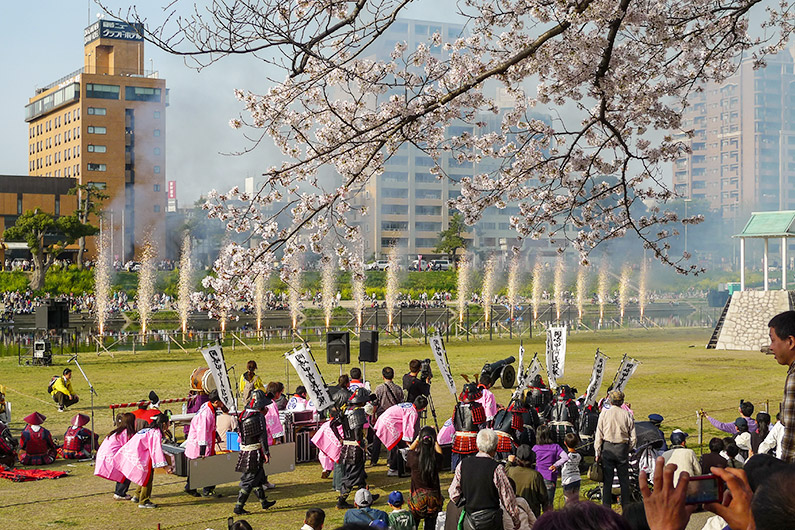 Fireworks at the Ieyasu battle in Okazaki from under the Cherry Blossom trees