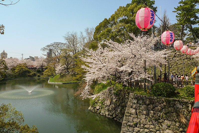 Lanterns line a red bridge leading to Okazaki castle and more cherry blossom trees