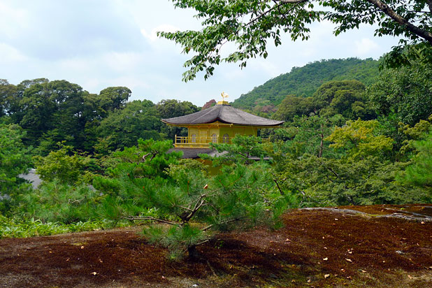 Kinkakuji as seen from the lookout area.