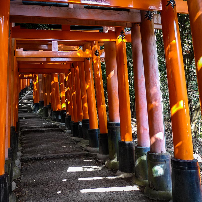 Vermillion torii lining the mountain path of Fushimi Inari Shrine, Kyoto