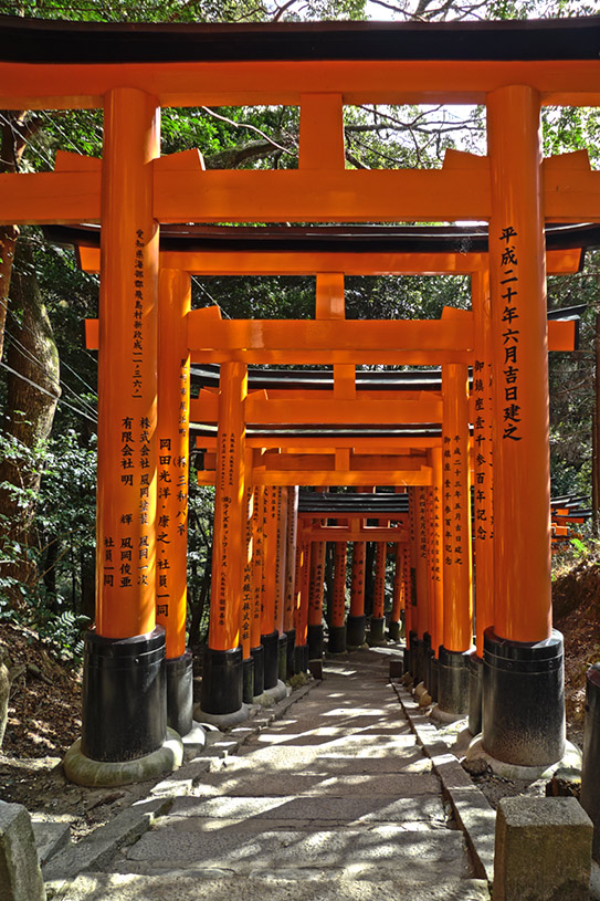 Inscribed Japanese Vermillion Torii in Kyoto at Fushimi Inari (HDR Photo)