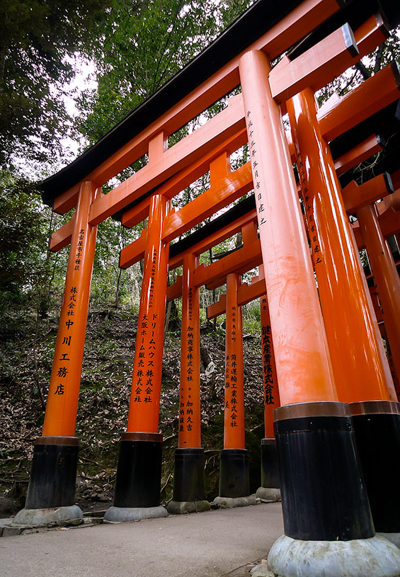 Huge Torii at the World Heritage Fushimi Inari Taisha