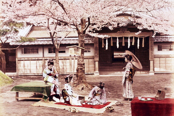 120+ year old photo of sakura in Japan