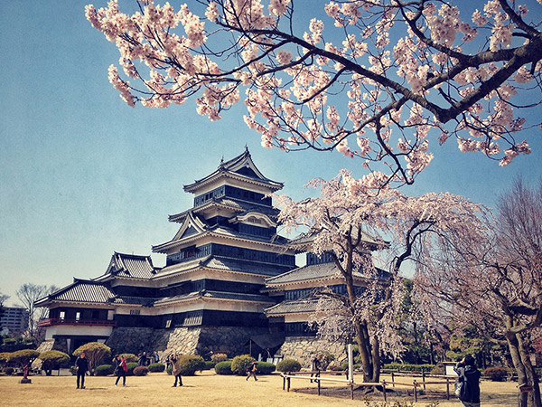 Matsumoto Castle, framed by cherry blossoms