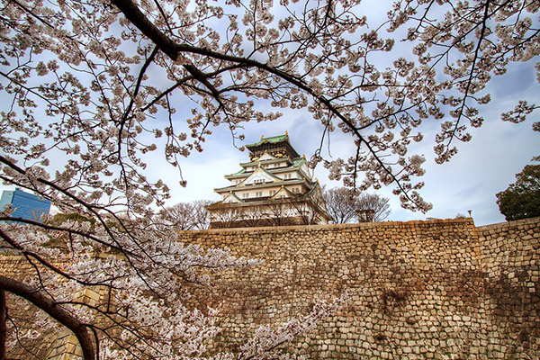 Sakura at Osaka Castle (HDR Photo)