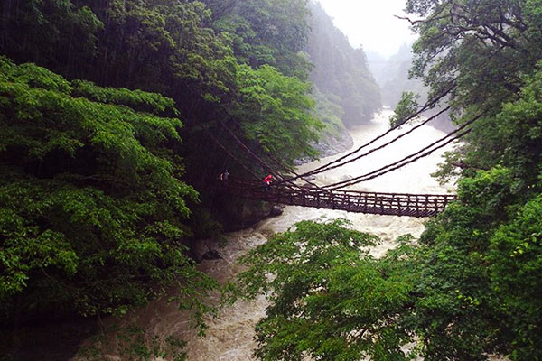 Iya Kazurabashi Bridge in the Iya Valley during the rainy season