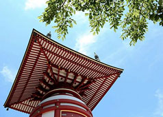 Pagoda at Yakuo-ji Temple, Tokushima
