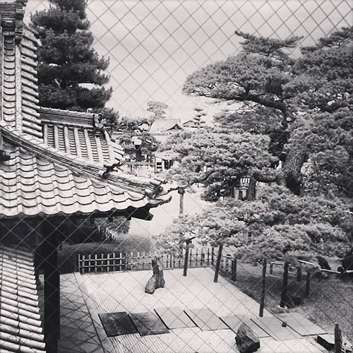 Accommodation at Zentsu-ji 「善通寺」 Temple