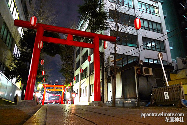 Torii gates at night leading to Hanazono-jinja.