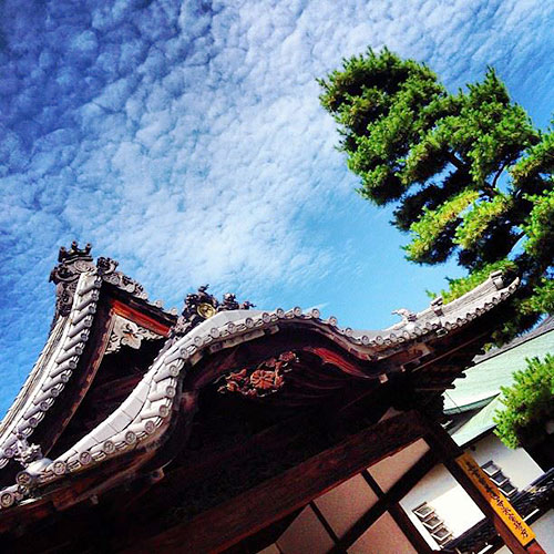 Zentsu-ji 「善通寺」 Temple