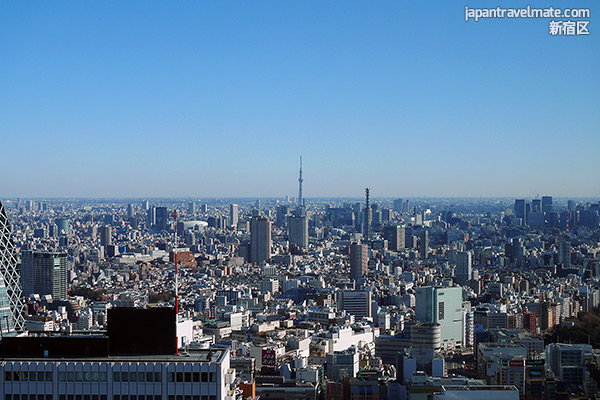 Tokyo Skytree in the distance over a sprawling Tokyo