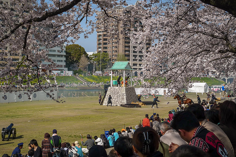 Sakura and ninja at Okazaki Park