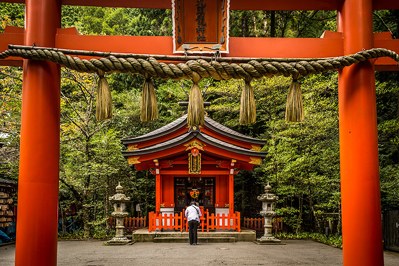 Hakone Shrine: Looking through torii