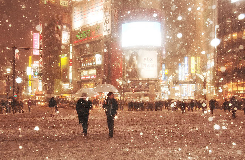 Snow in Tokyo (Shibuya, Tokyo) 「東京都渋谷区」