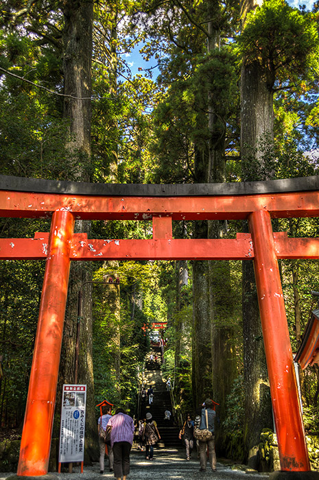 Torii and stairs leading to Hakone Shrine's Main Hall (HDR Photo)