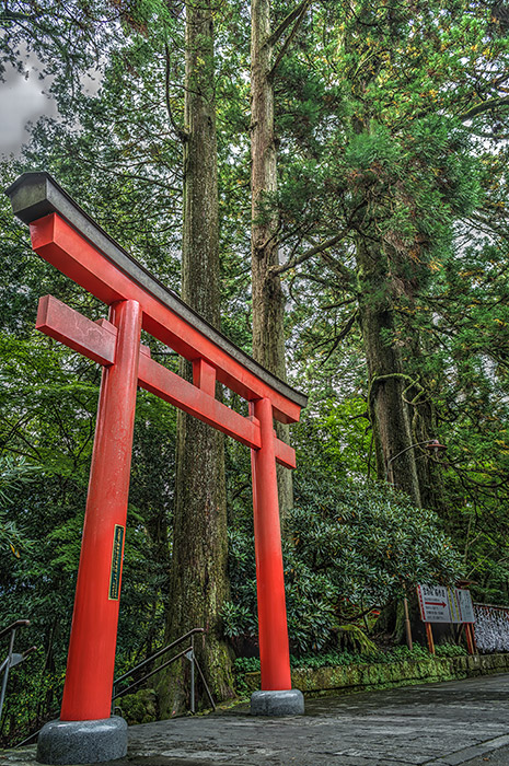 Torii at the top of the stairs, Hakone-jinja (HDR Photo)