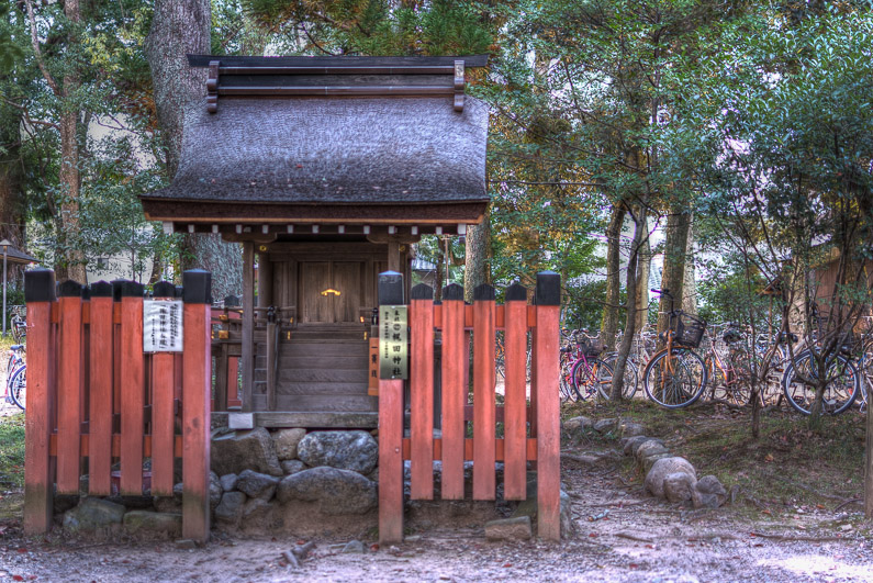 Kamo-wake-ikazuchi-Jinja/Nara-jinja (HDR Photo)