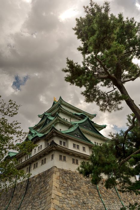 Japanese black pine 「kuromatsu」and the main tower of Nagoya Castle (HDR Photo)