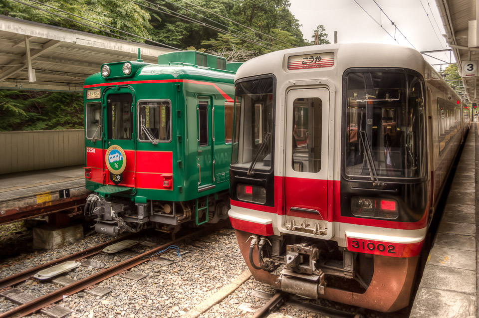 2 trains at Gokurabashi Station