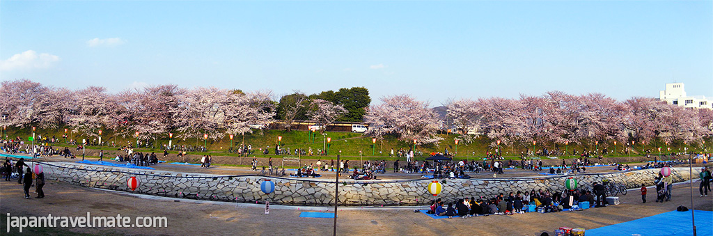 Sakura - Okayama Panorama