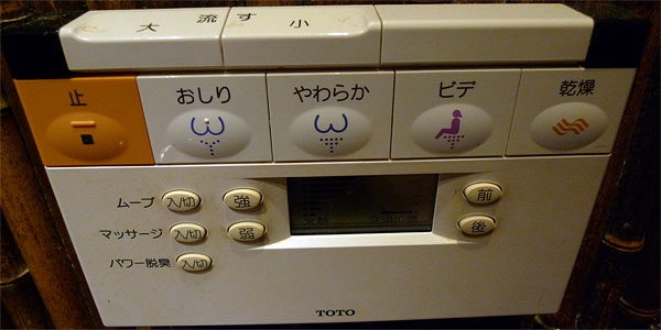 Control panel for Japanese toilet